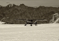 An ultimate Alaskan adventure treat is to visit Denali Park by a de Havilland Beaver high-wing airplane and actually land on a glacier.  WoW! 